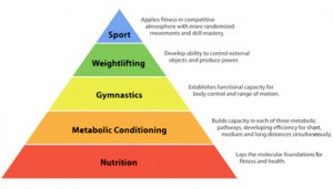 nutrition-triangle